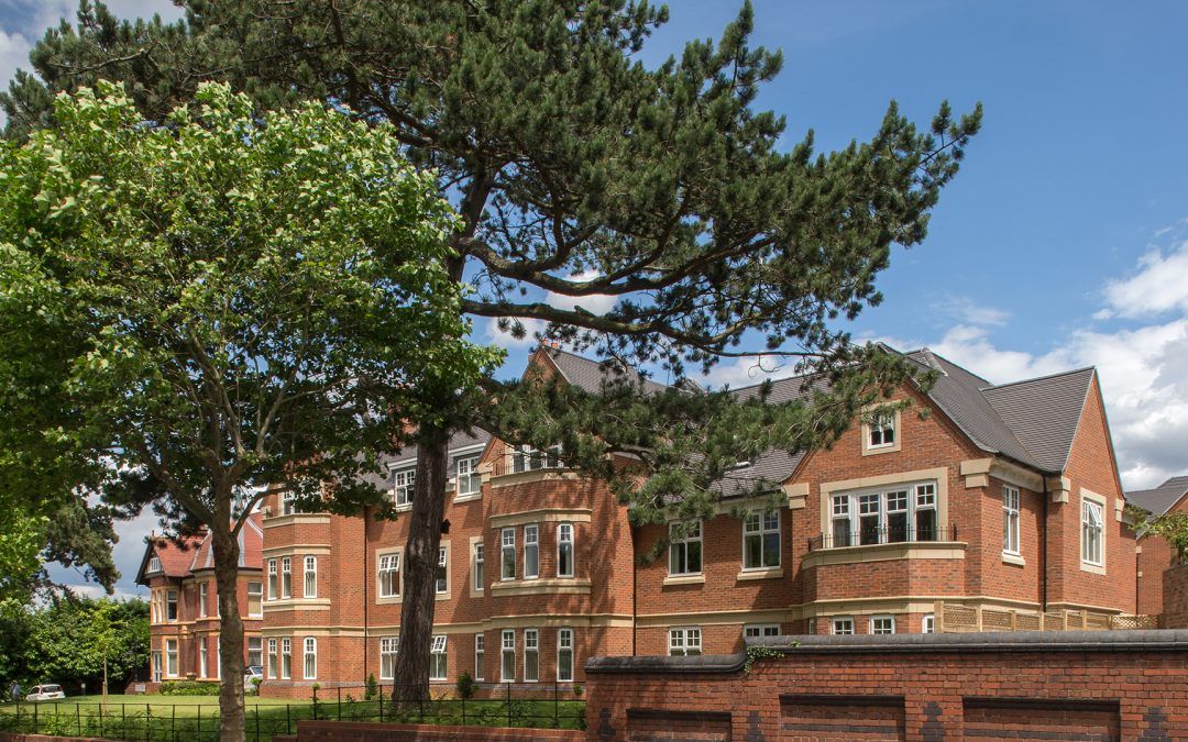 Trees Planted in 2022