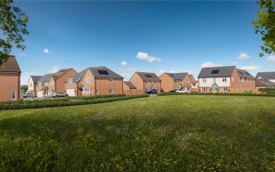 Ambridge Fields, Inkberrow