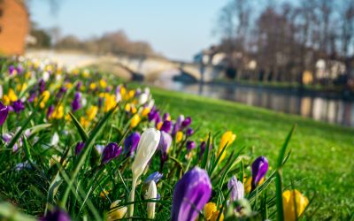 A Season of Activity Across Kendrick Homes Developments