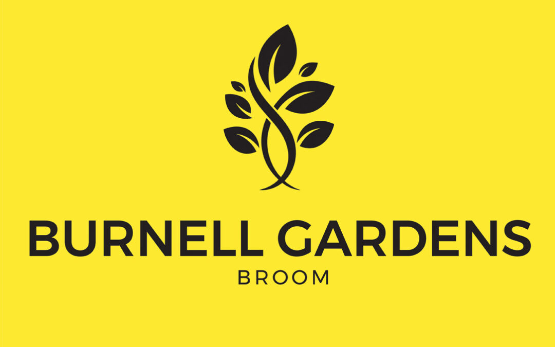 Burnell Gardens, Broom