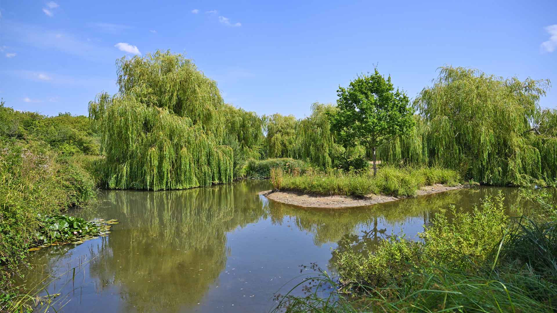 Cygnets Rest - new homes in Worcestershire